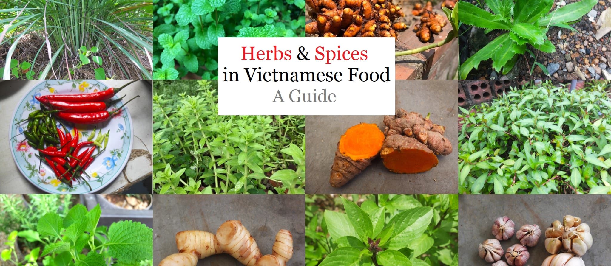 Fresh herbs & spices in Vietnamese Food