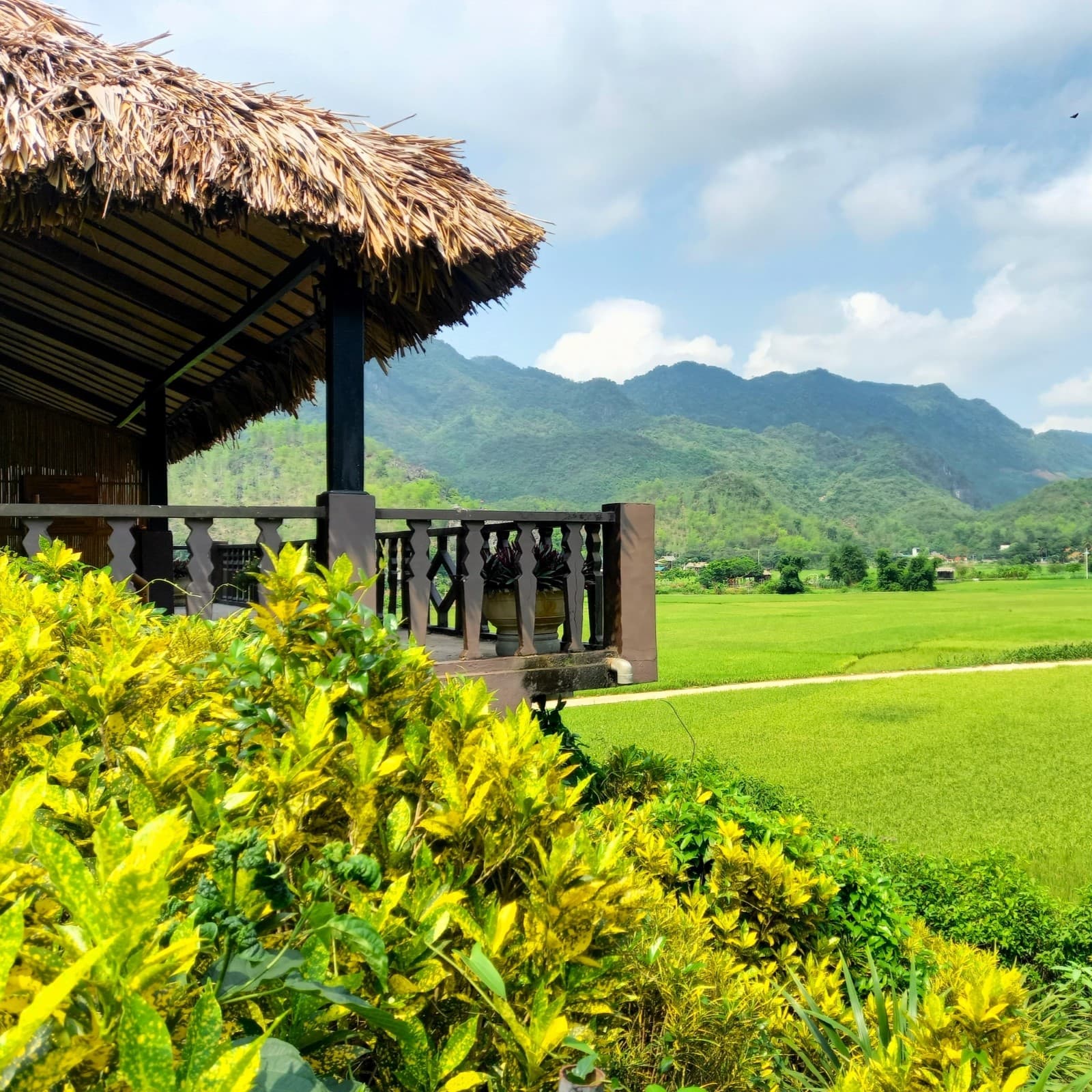 Mai Chau Ecolodge, Review
