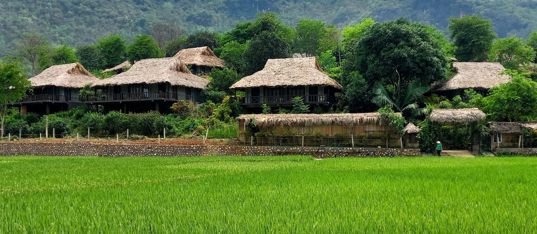 Mai Chau Ecolodge, Review