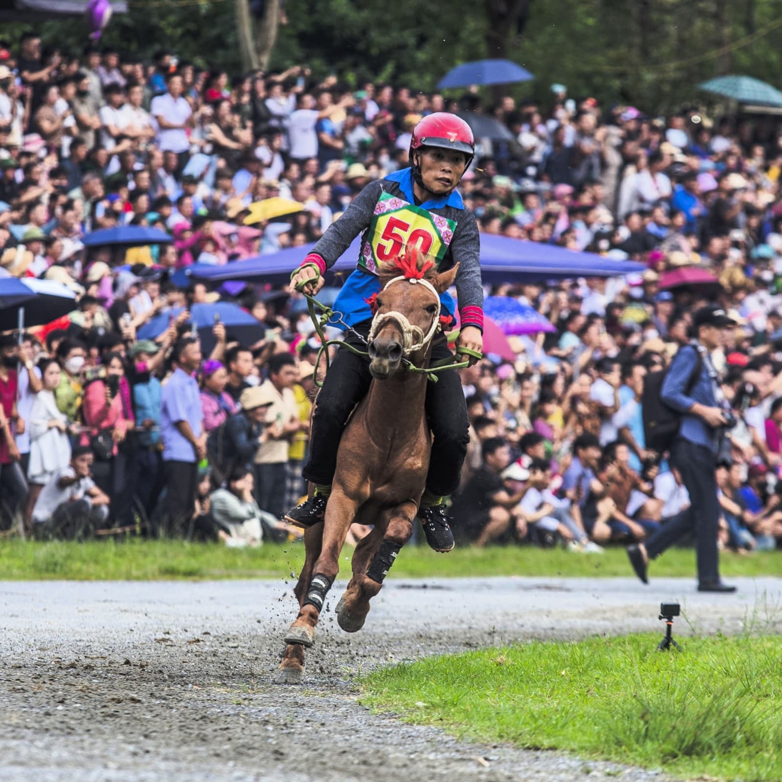 Bắc Hà Horse Racing Festival, Vietnam