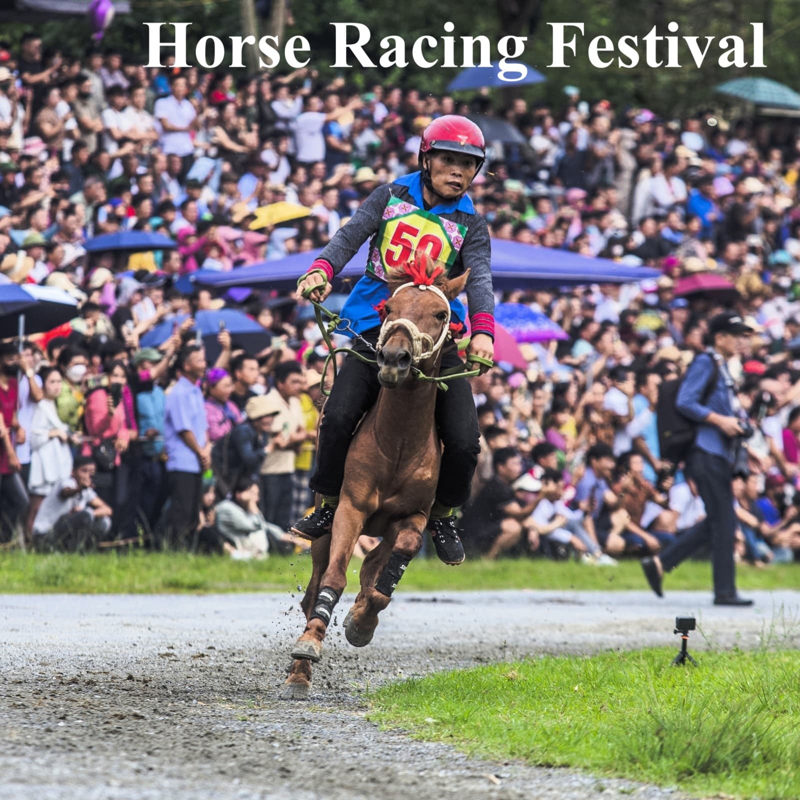 Bắc Hà Horse Racing Festival, Vietnam