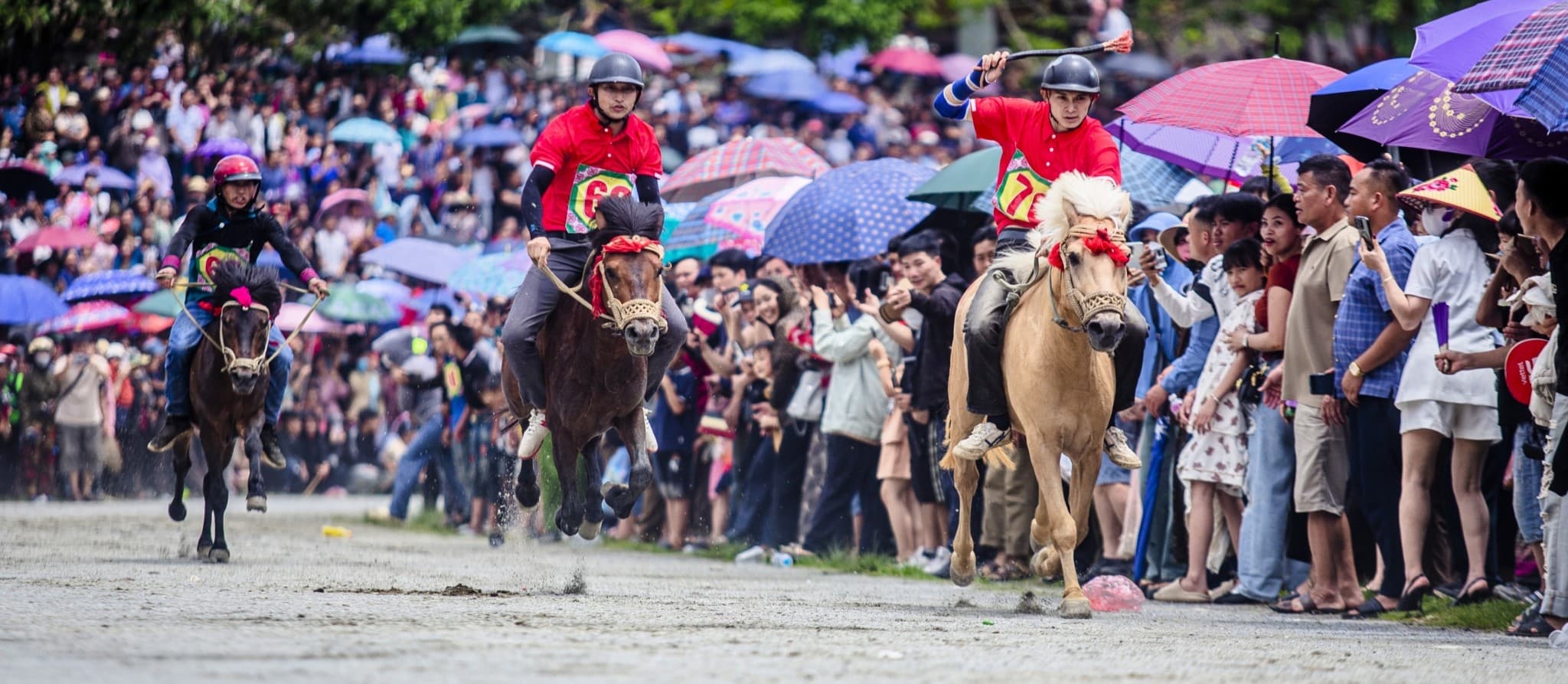 Bắc Hà Horse Racing Festival, Vietnam