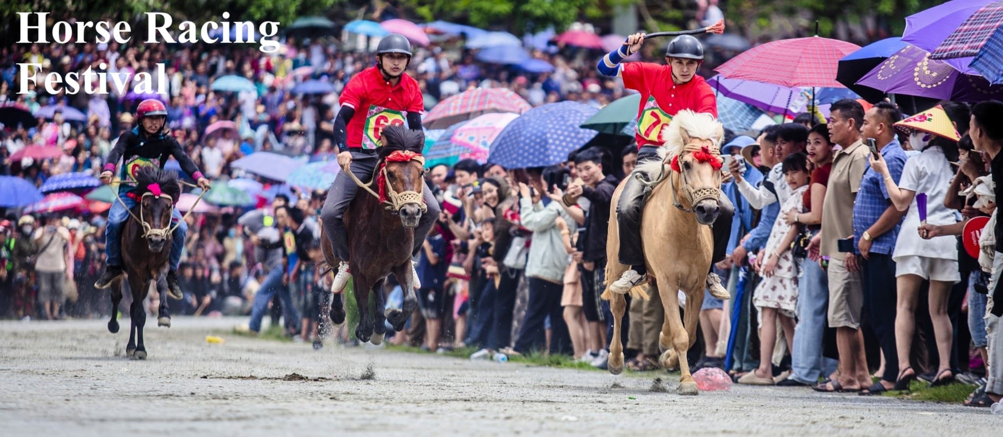 Bắc Hà Horse Racing Festival, Vietnam
