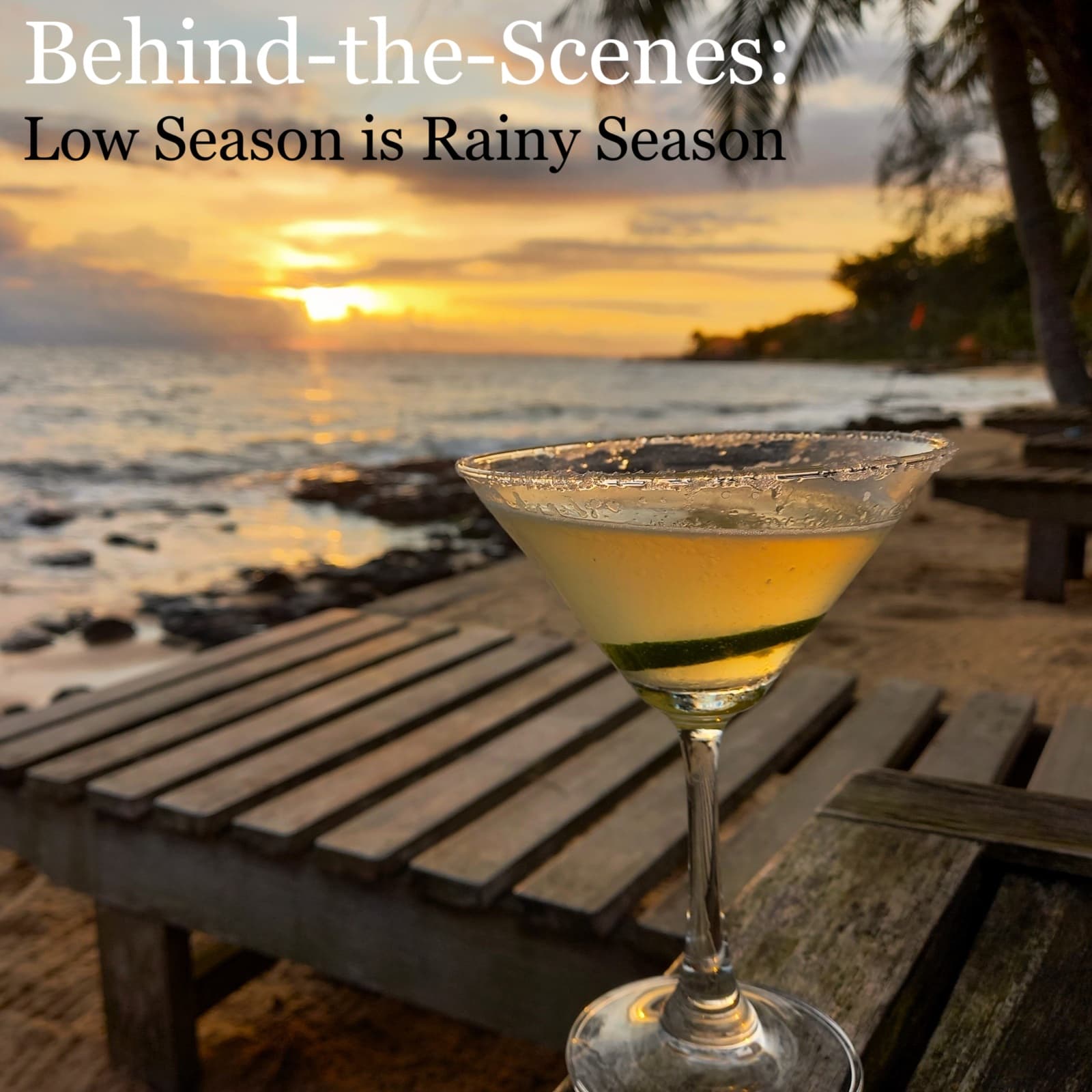Behind the Scenes: August, 2025