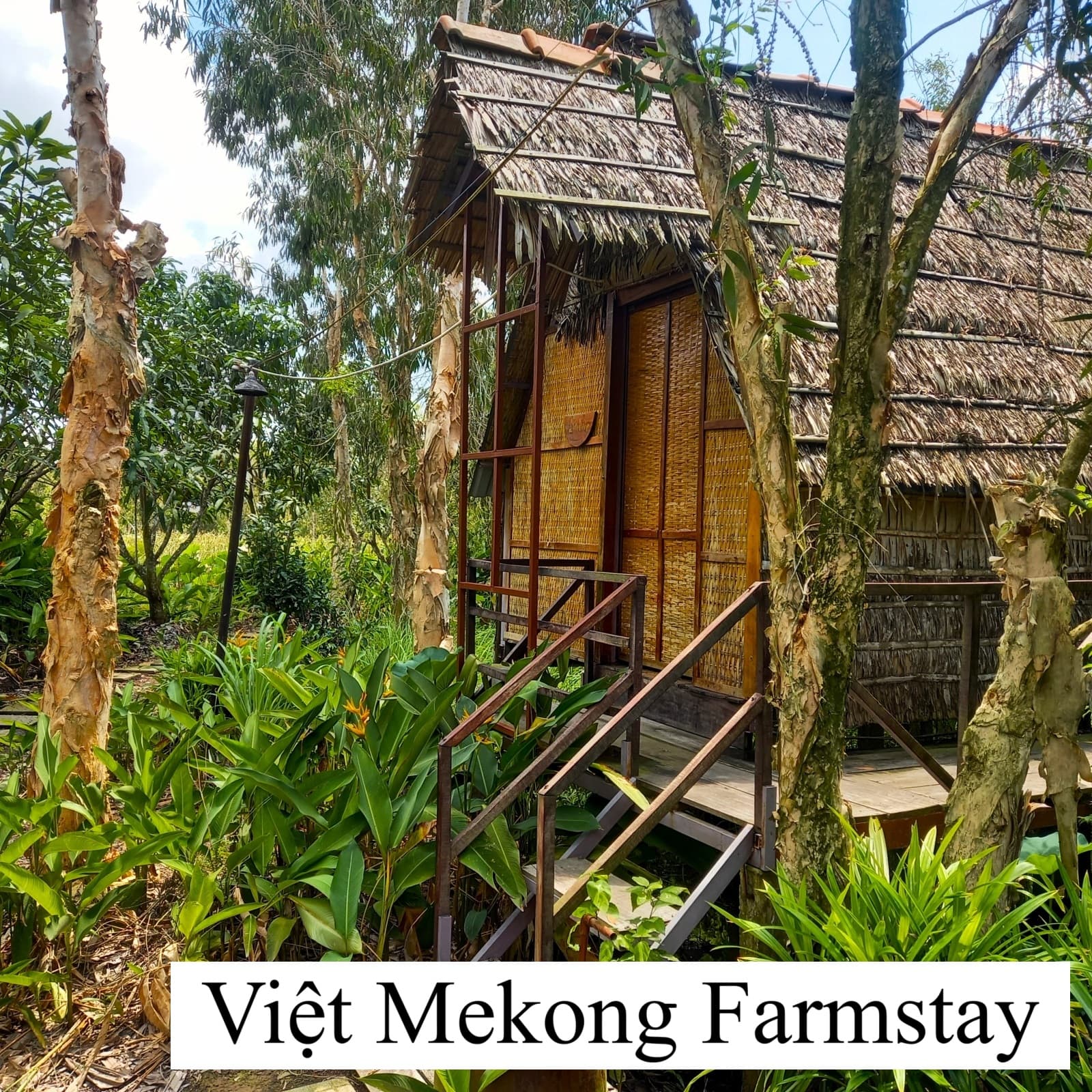 Việt Mekong Farmstay