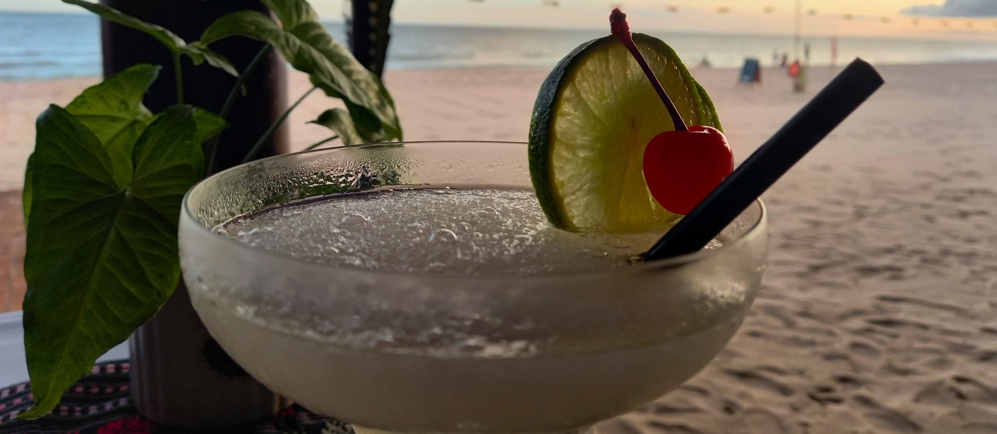 400 Guides on Vietnam Coracle