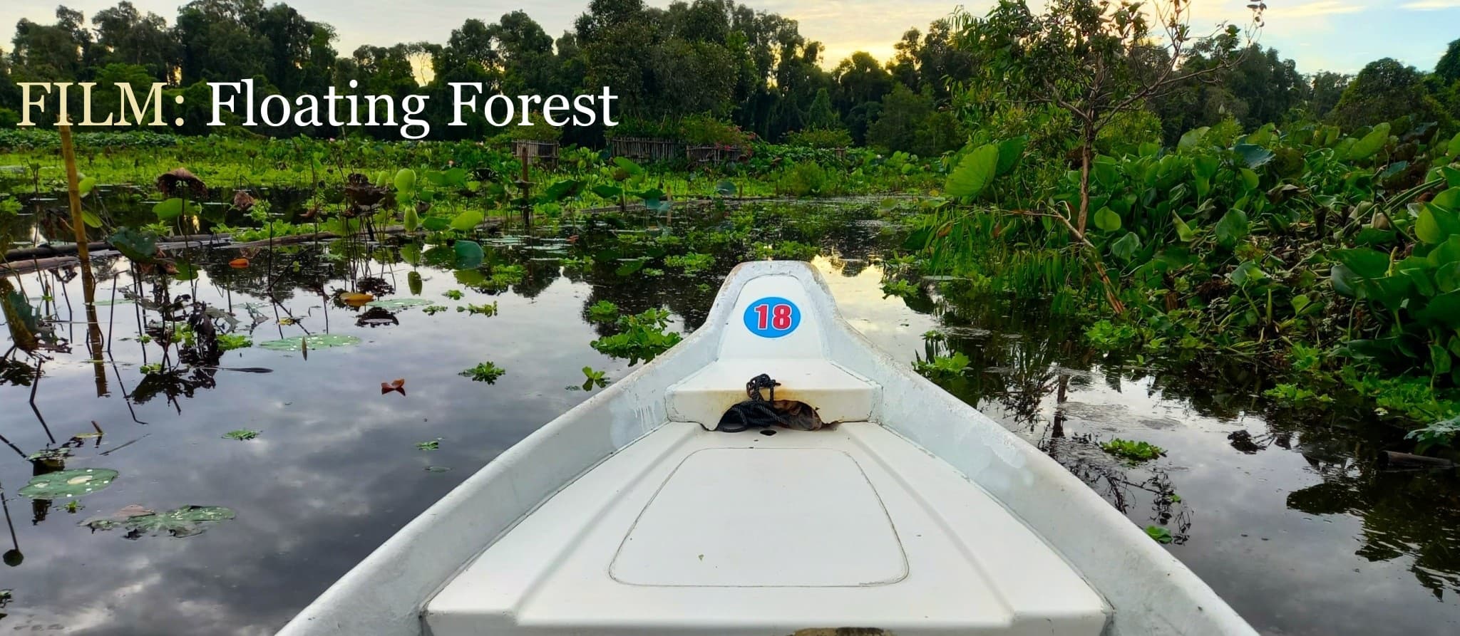 Film: Tra Su Floating Forest, Mekong Delta, Vietnam