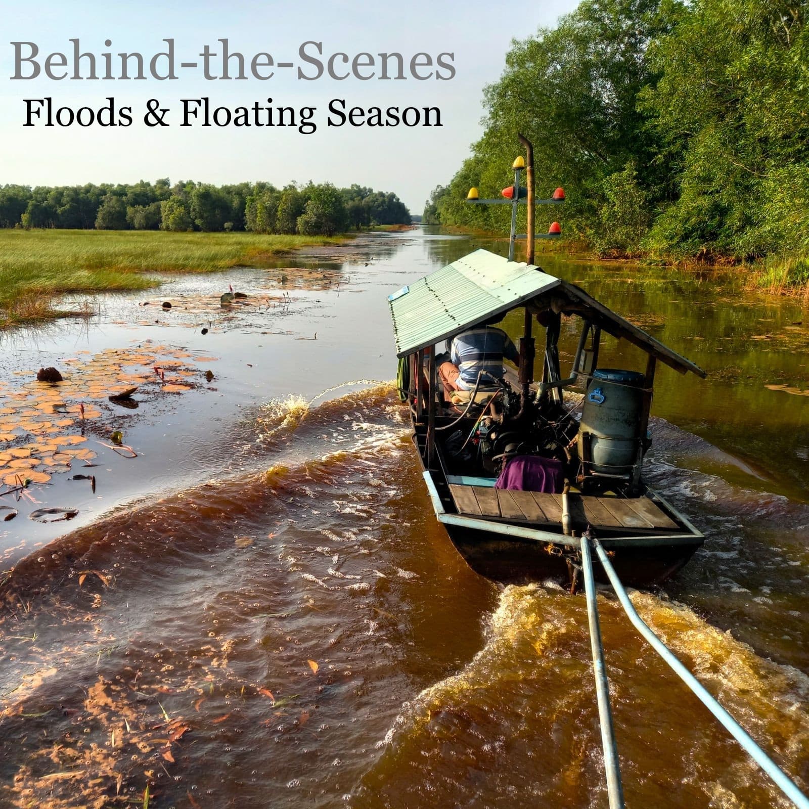 Behind the Scenes, November 2025