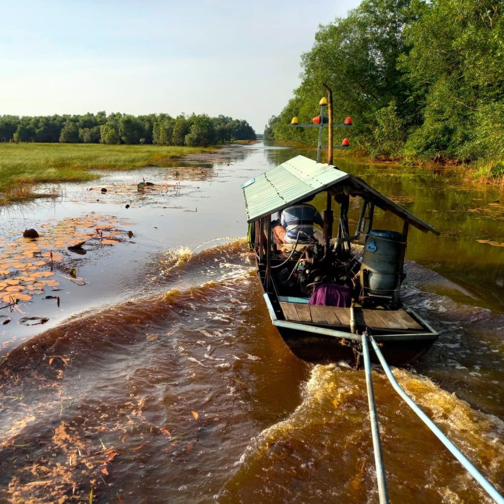 Behind the Scenes, November 2025