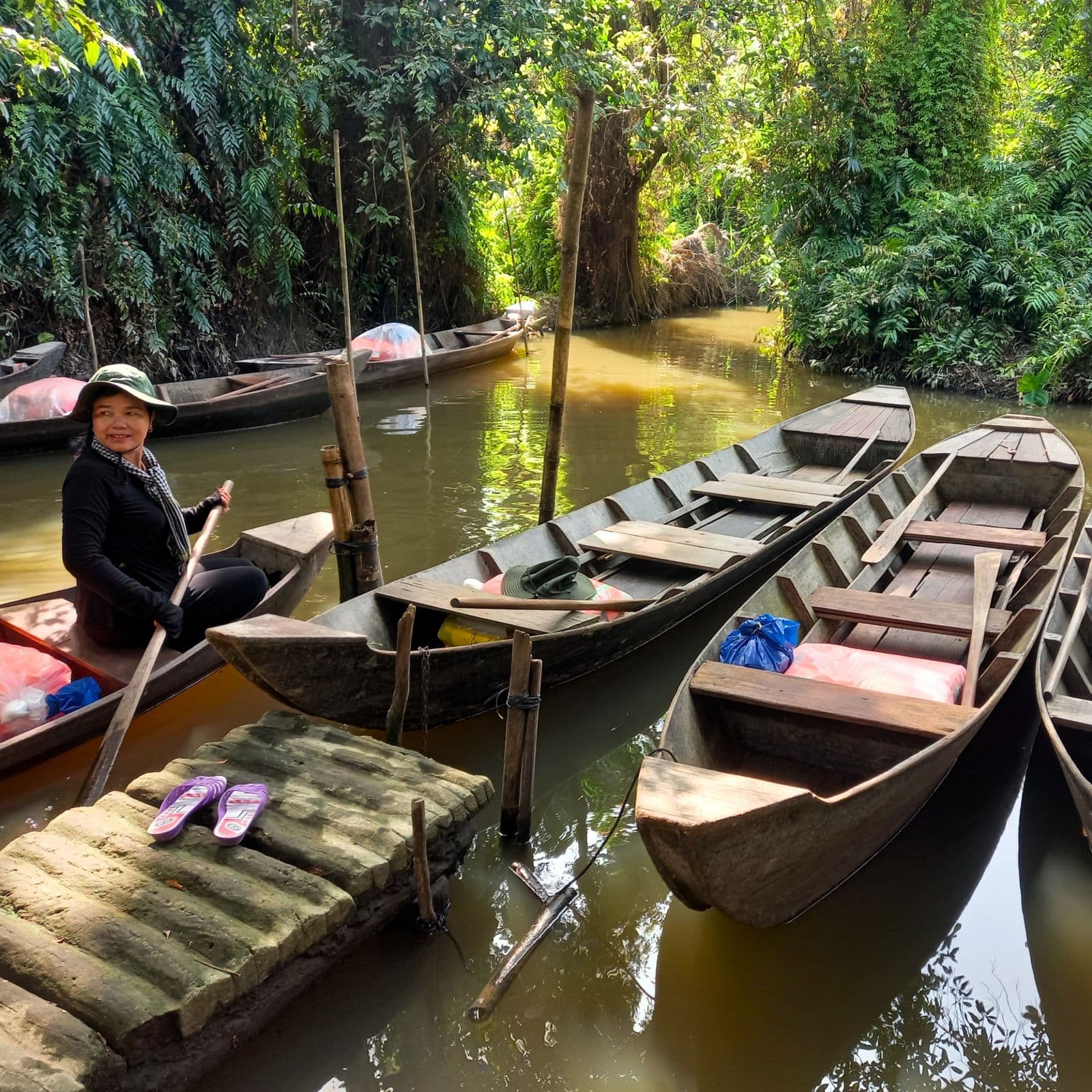 Xeo Quyt Forest, Mekong Delta, Vietnam