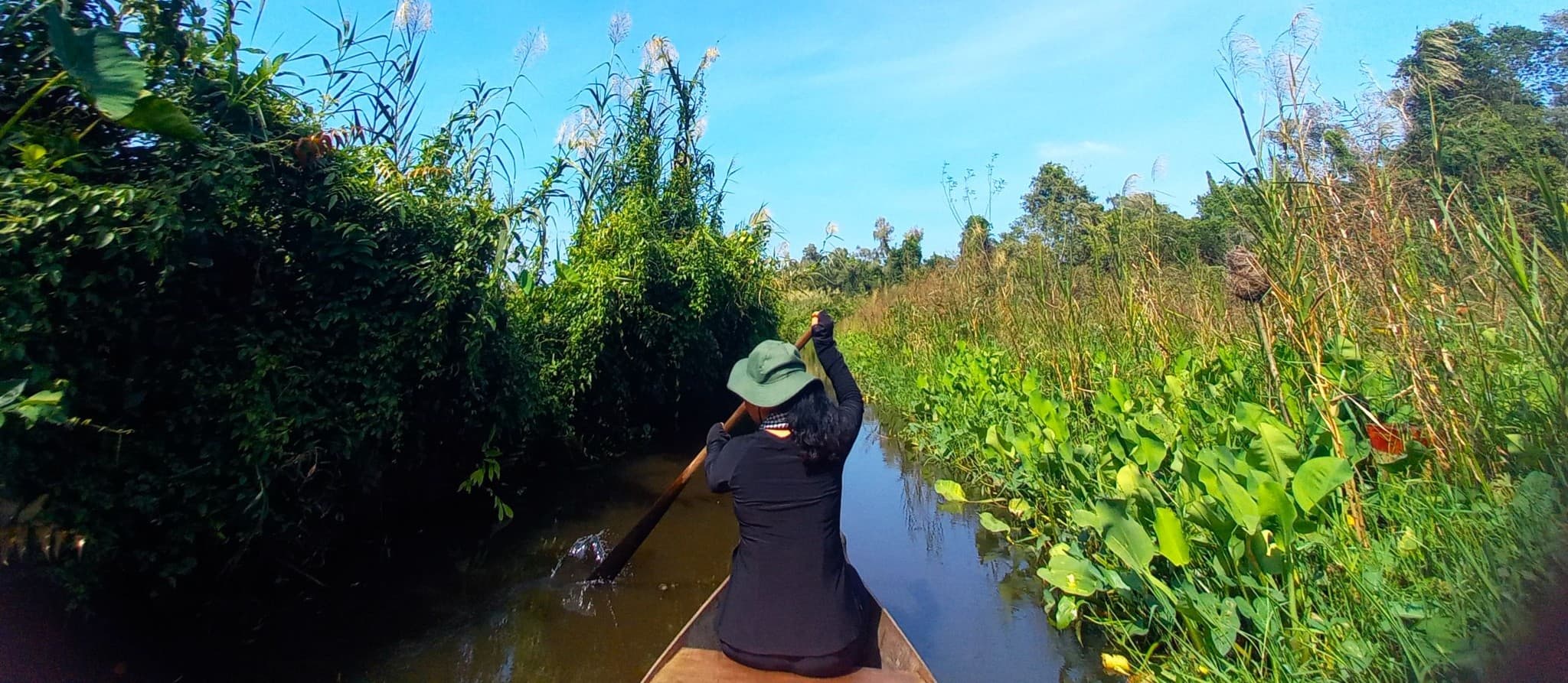 Xeo Quyt Forest, Mekong Delta, Vietnam