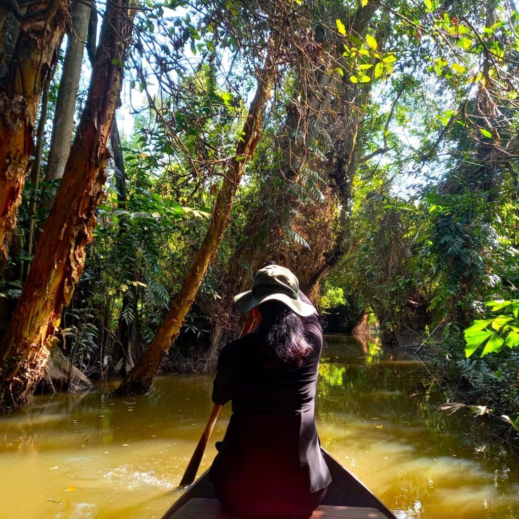 Xeo Quyt Forest, Mekong Delta, Vietnam