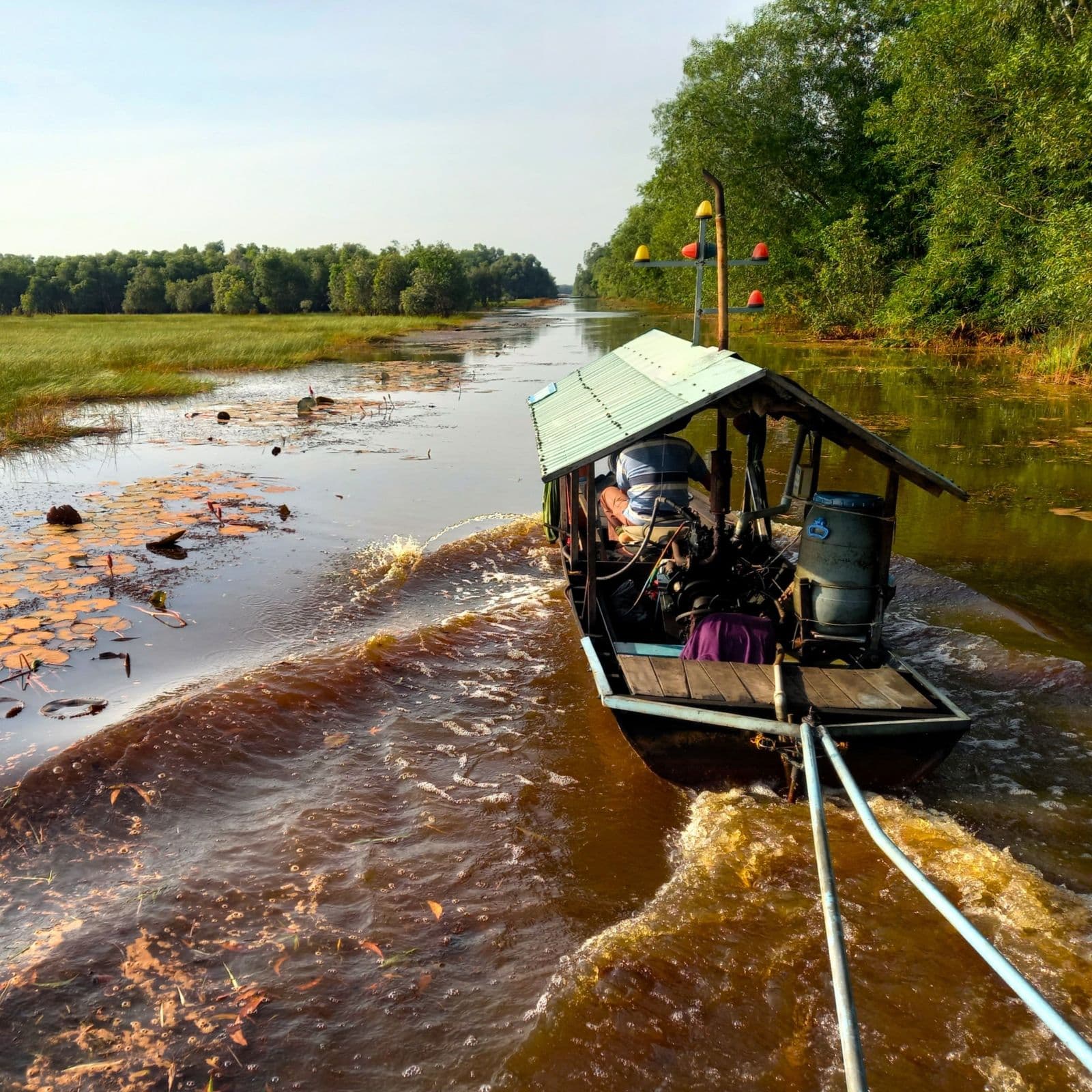 Tram Chim National Park, Vietnam