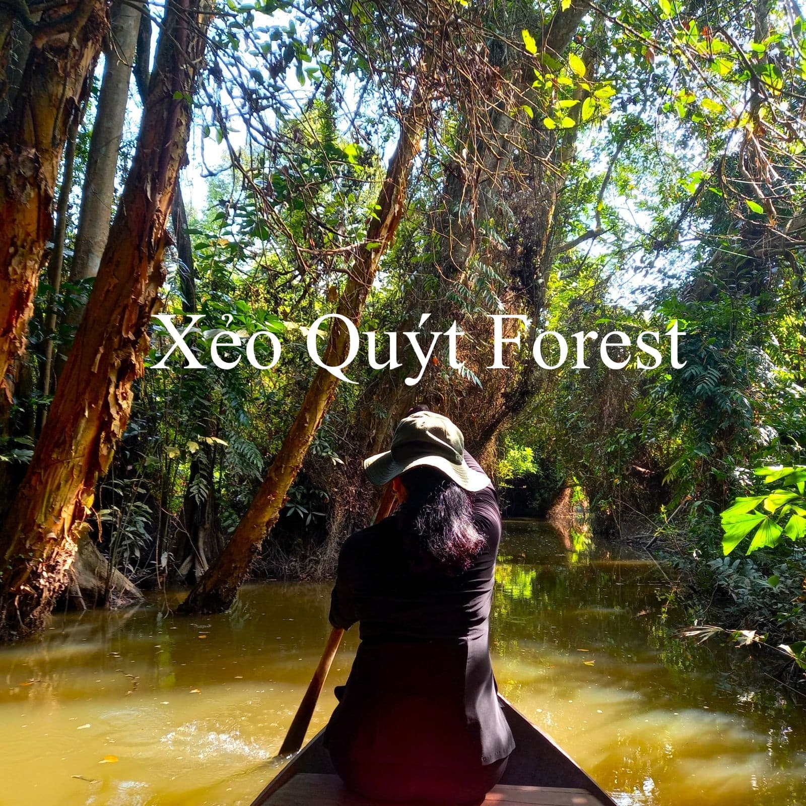 Xeo Quyt Forest, Mekong Delta, Vietnam