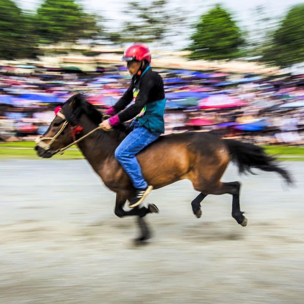 Vietnam Coracle Tet Special: Year of the Fire Horse Q&A