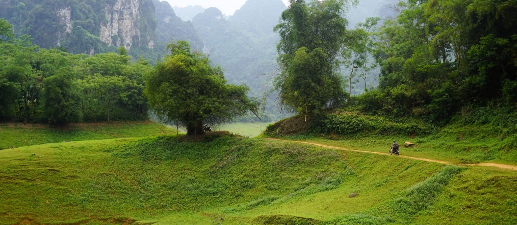 Vietnam Coracle Tet Special: Year of the Fire Horse Q&A