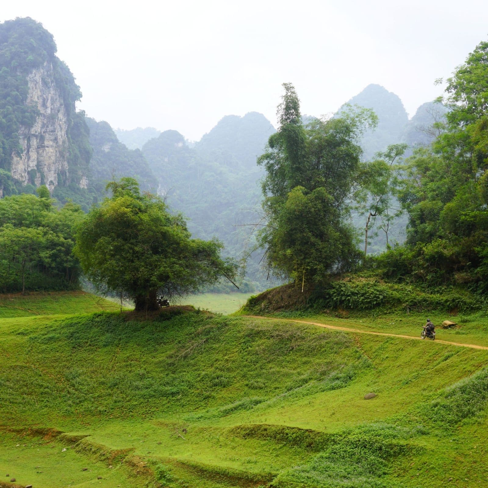 Vietnam Coracle Tet Special: Year of the Fire Horse Q&A