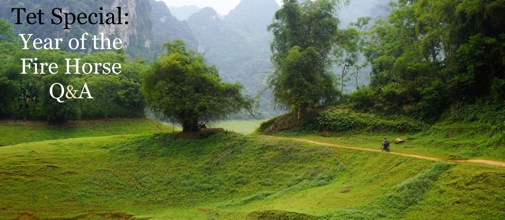 Vietnam Coracle Tet Special: Year of the Fire Horse Q&A