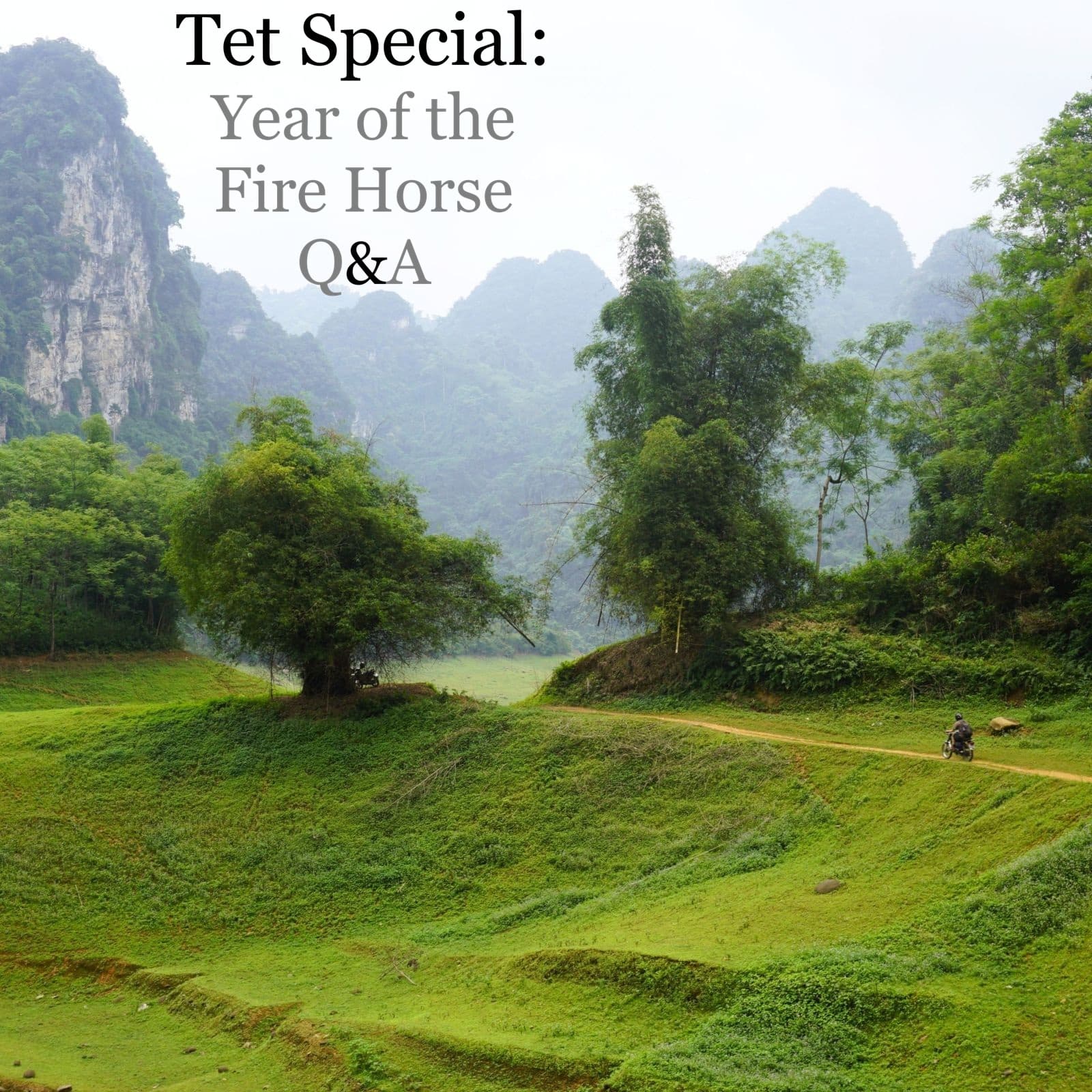Vietnam Coracle Tet Special: Year of the Fire Horse Q&A
