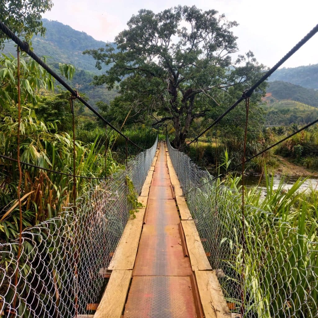 Patreon, Behind the Scenes, March, 2026