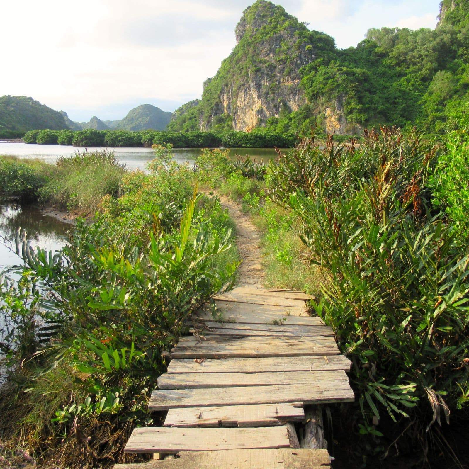 Hiking in Cat Ba National Park