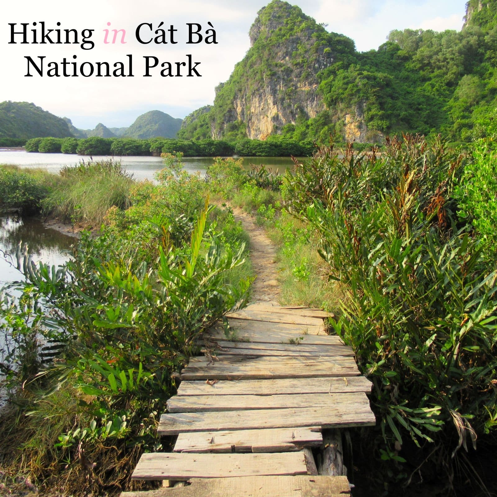 Hiking in Cat Ba National Park