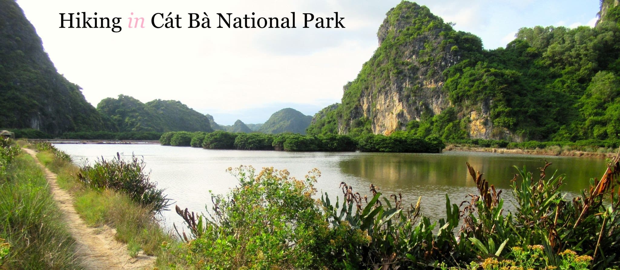 Hiking in Cat Ba National Park