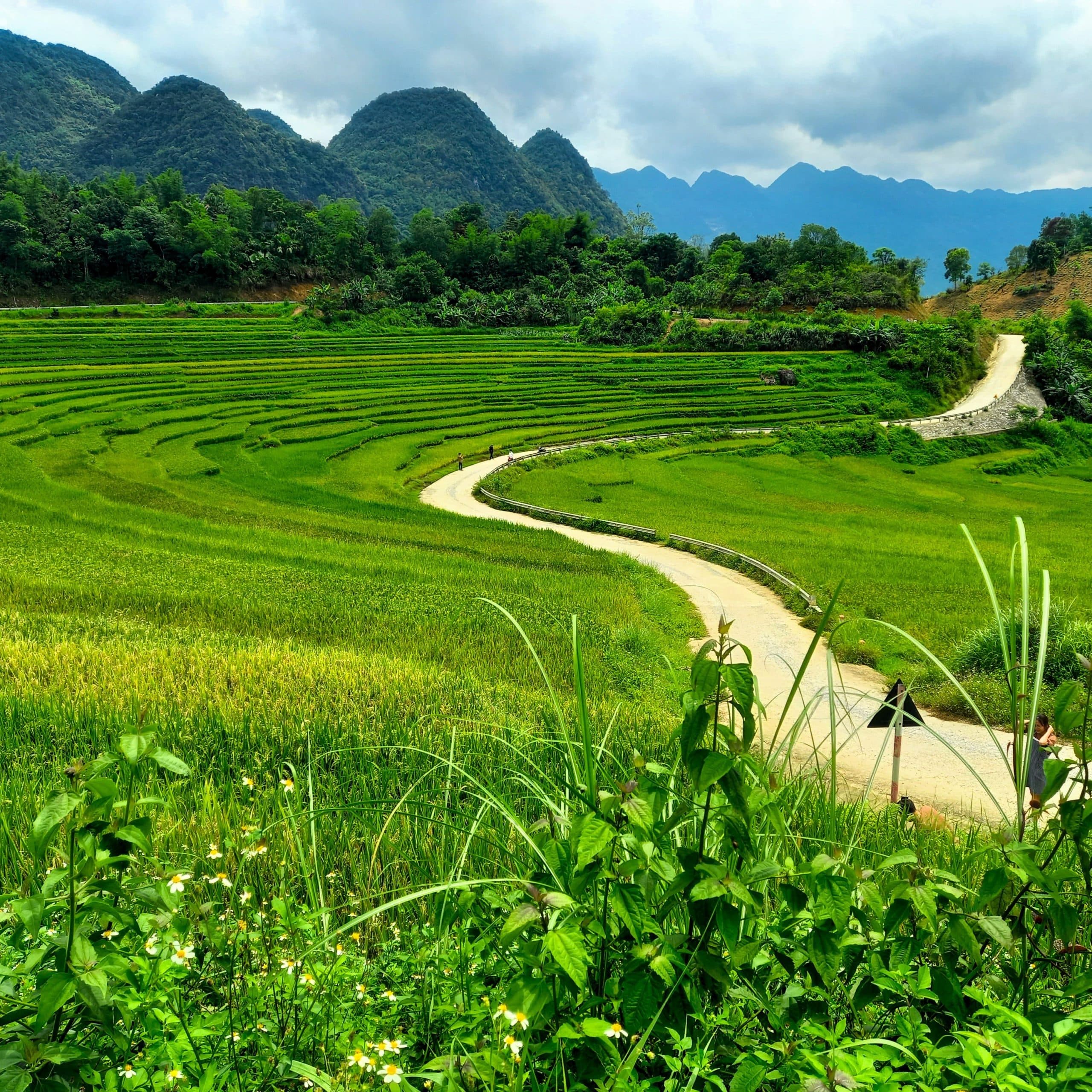 Pu Luong Nature Reserve, Travel Guide, Vietnam