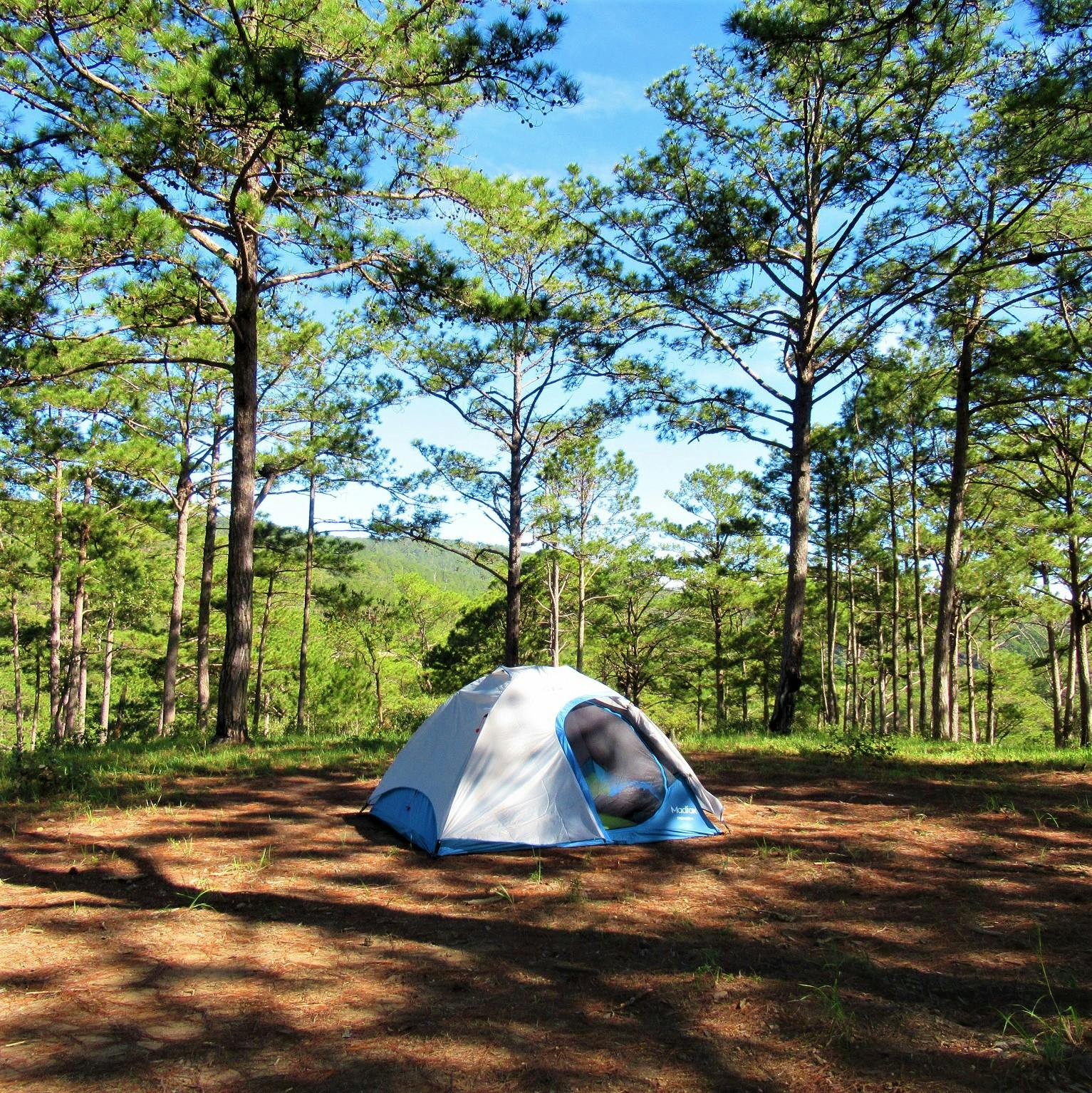 New Year's Camping in the Pine Forests, Dalat, Vietnam