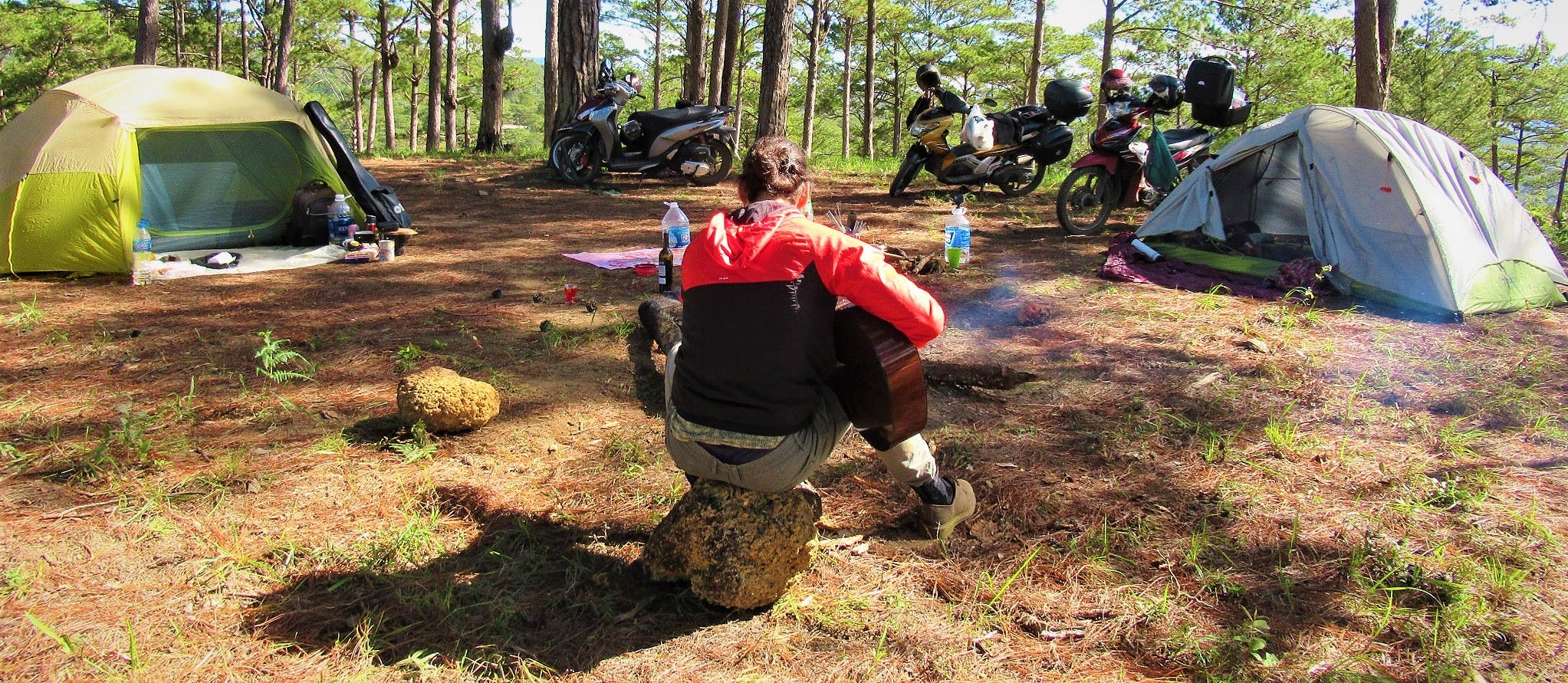 New Year's Camping in the Pine Forests, Dalat, Vietnam
