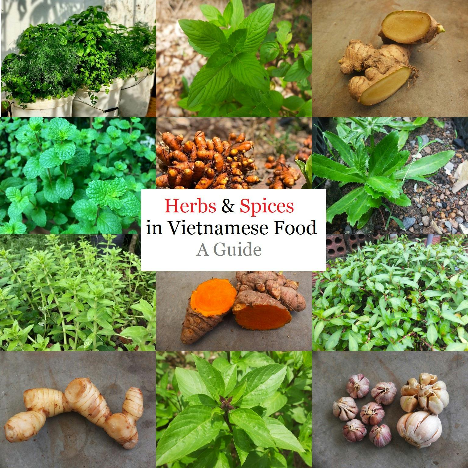Fresh herbs & spices in Vietnamese Food