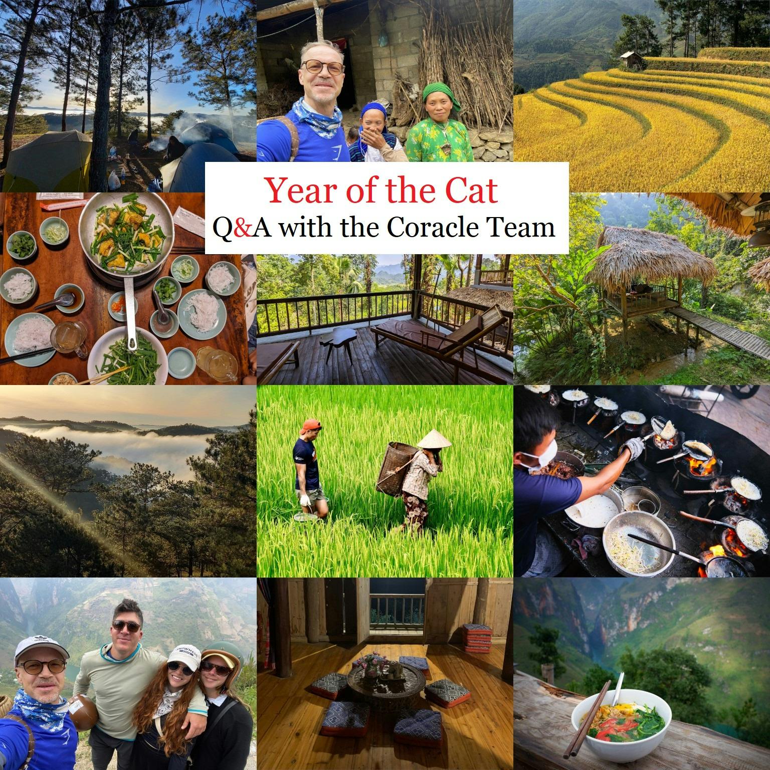 Year of the Cat Q&A with the Coracle Team