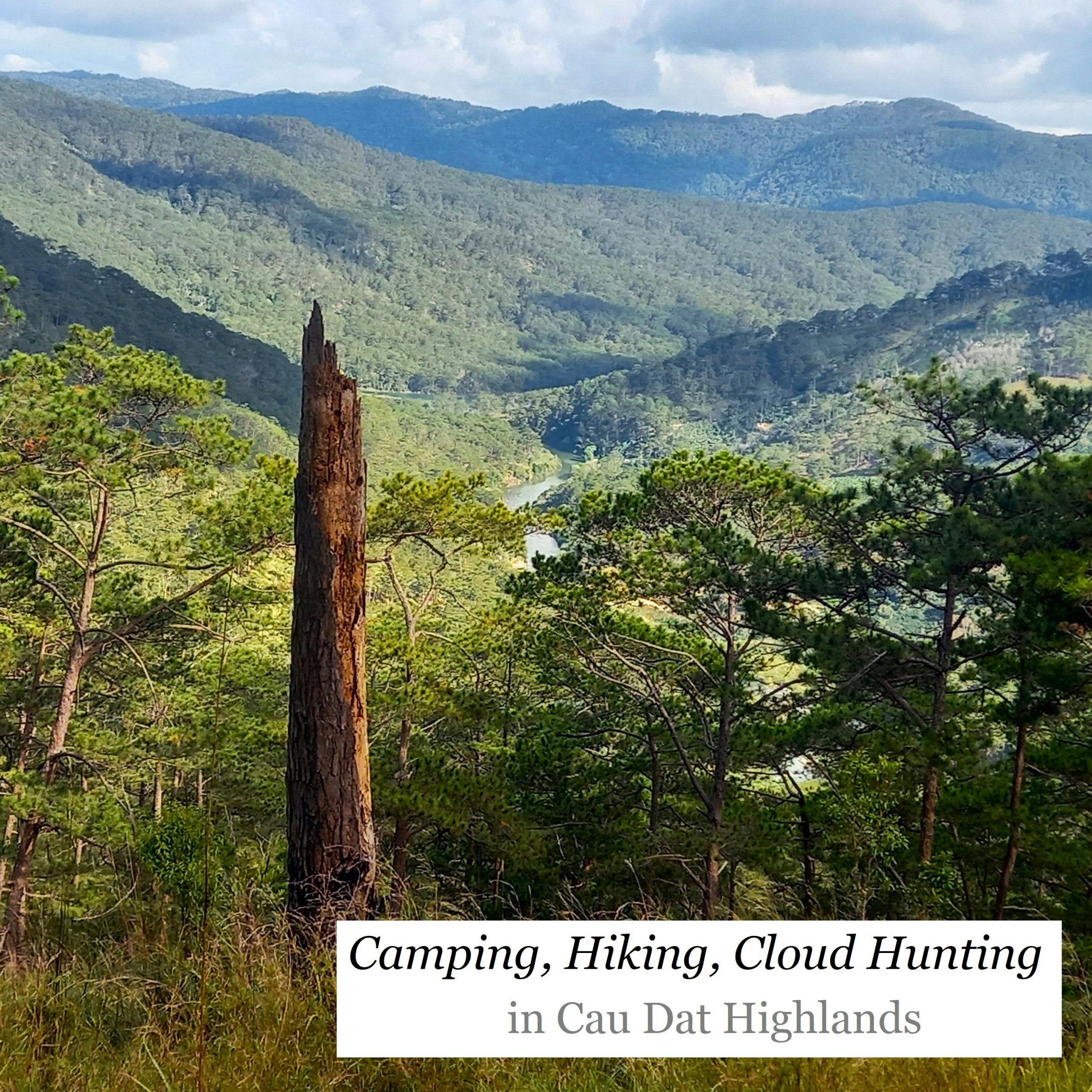 Camping, Hiking & Cloud Hunting in Cau Dat Highlands, Vietnam