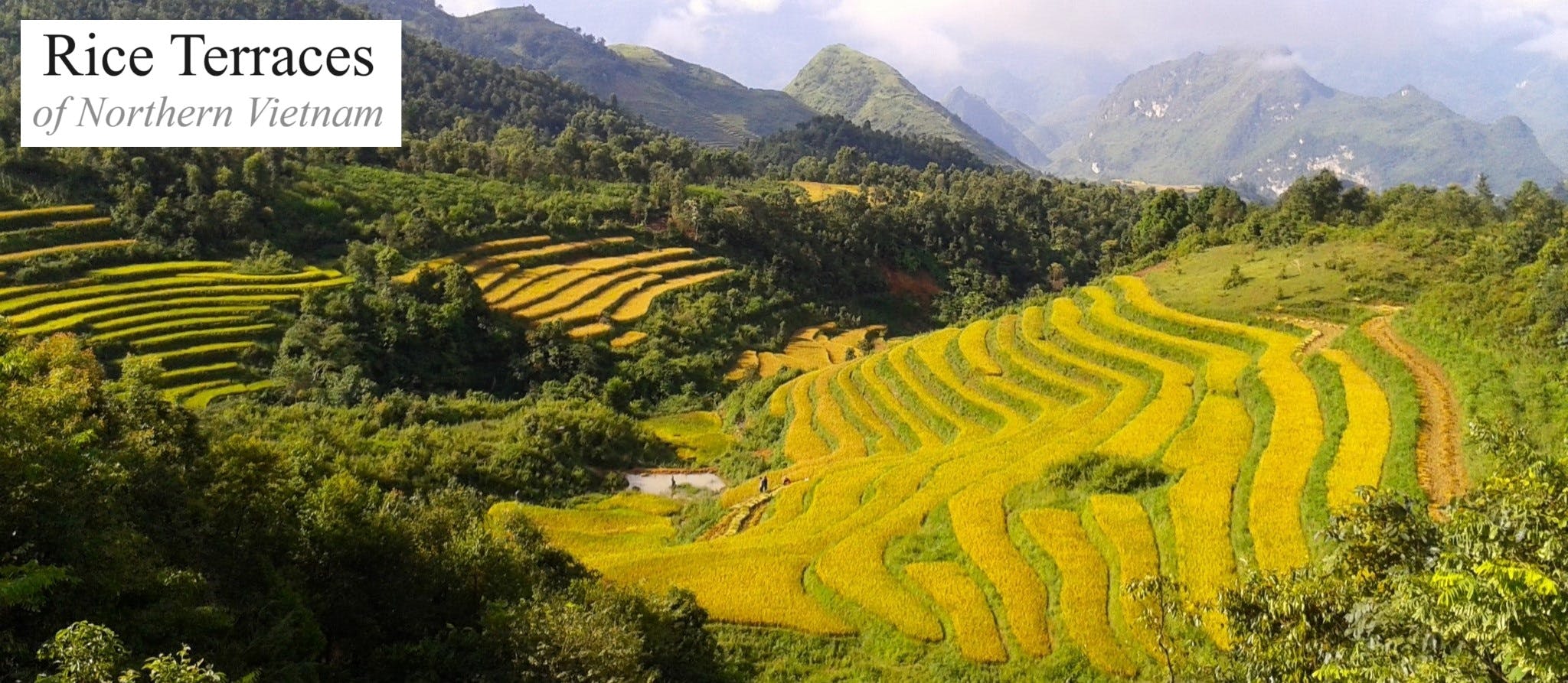 Rice Terraces of Northern Vietnam