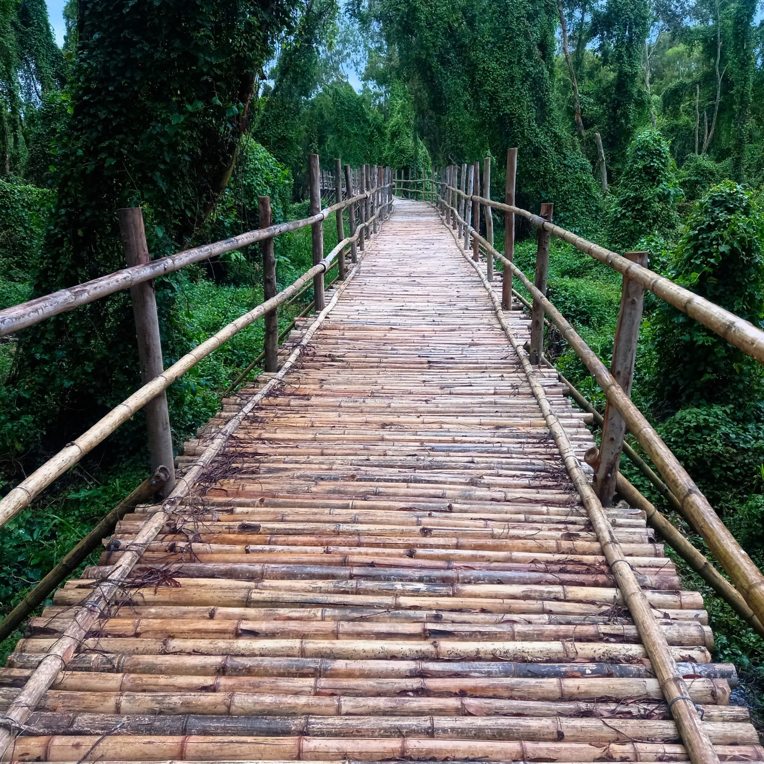 Rừng Tràm Trà Sư: Floating Cajuput Forest