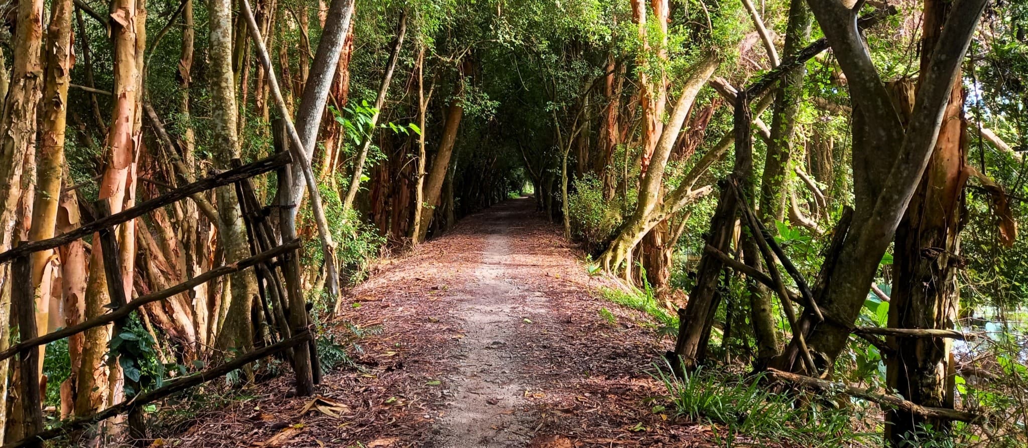 Getting Lost in the Mekong Delta