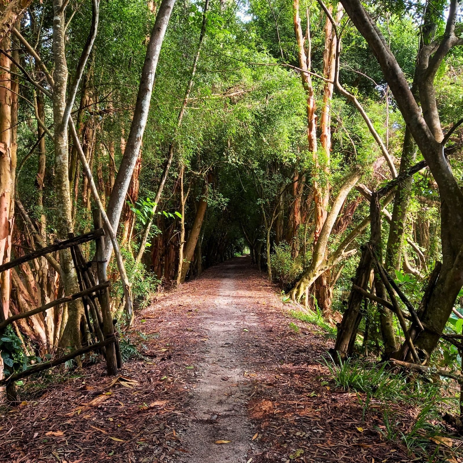 Getting Lost in the Mekong Delta