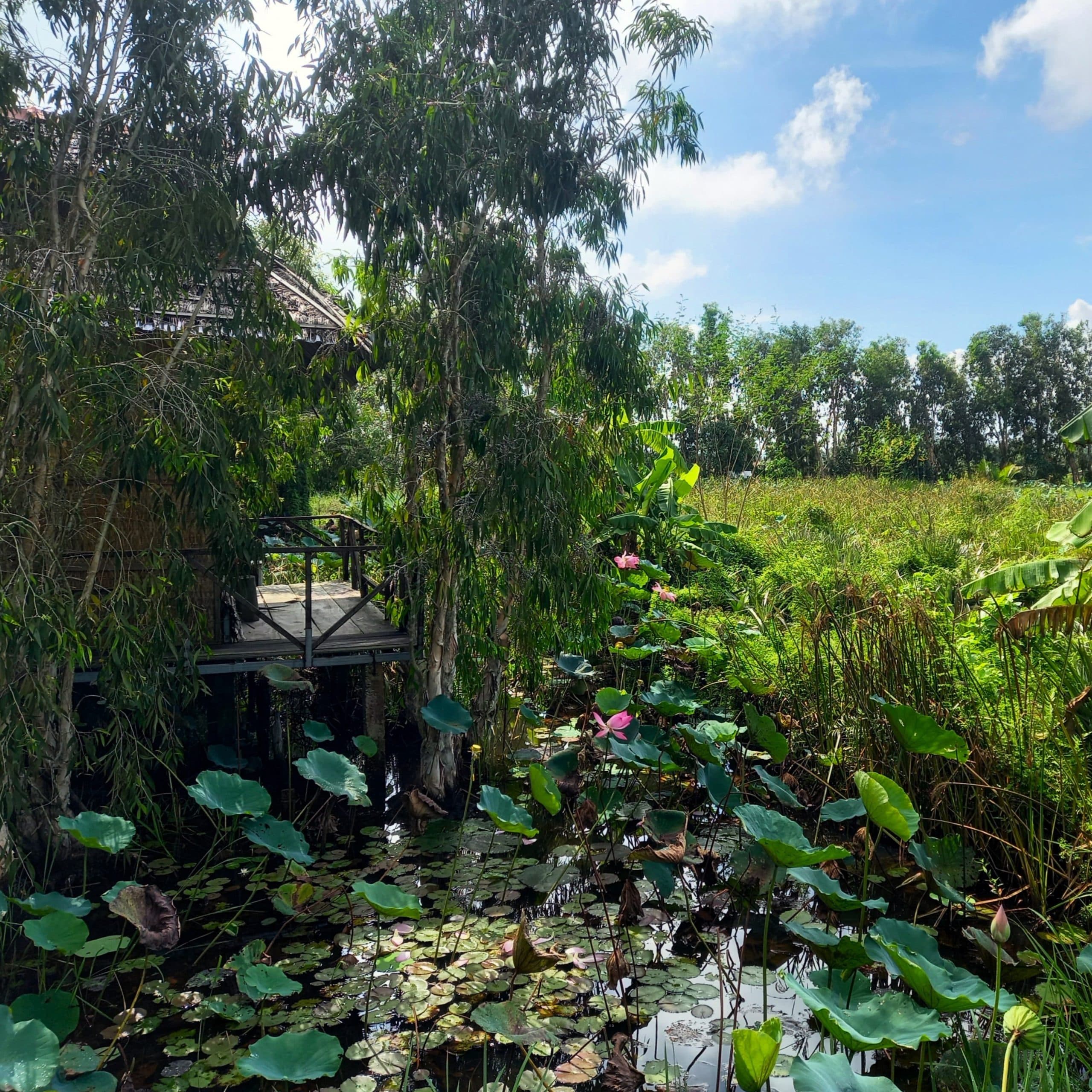 Việt Mekong Farmstay