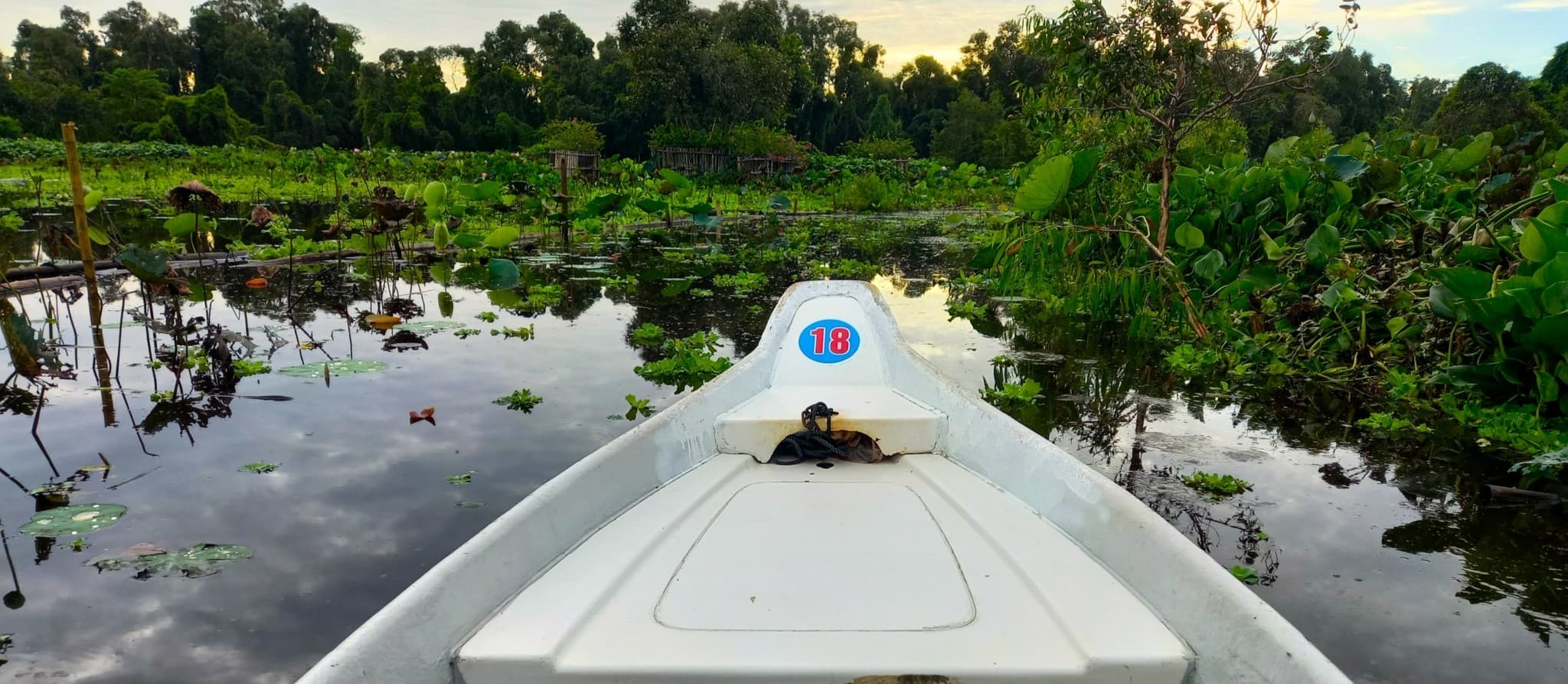 Film: Tra Su Floating Forest, Mekong Delta, Vietnam