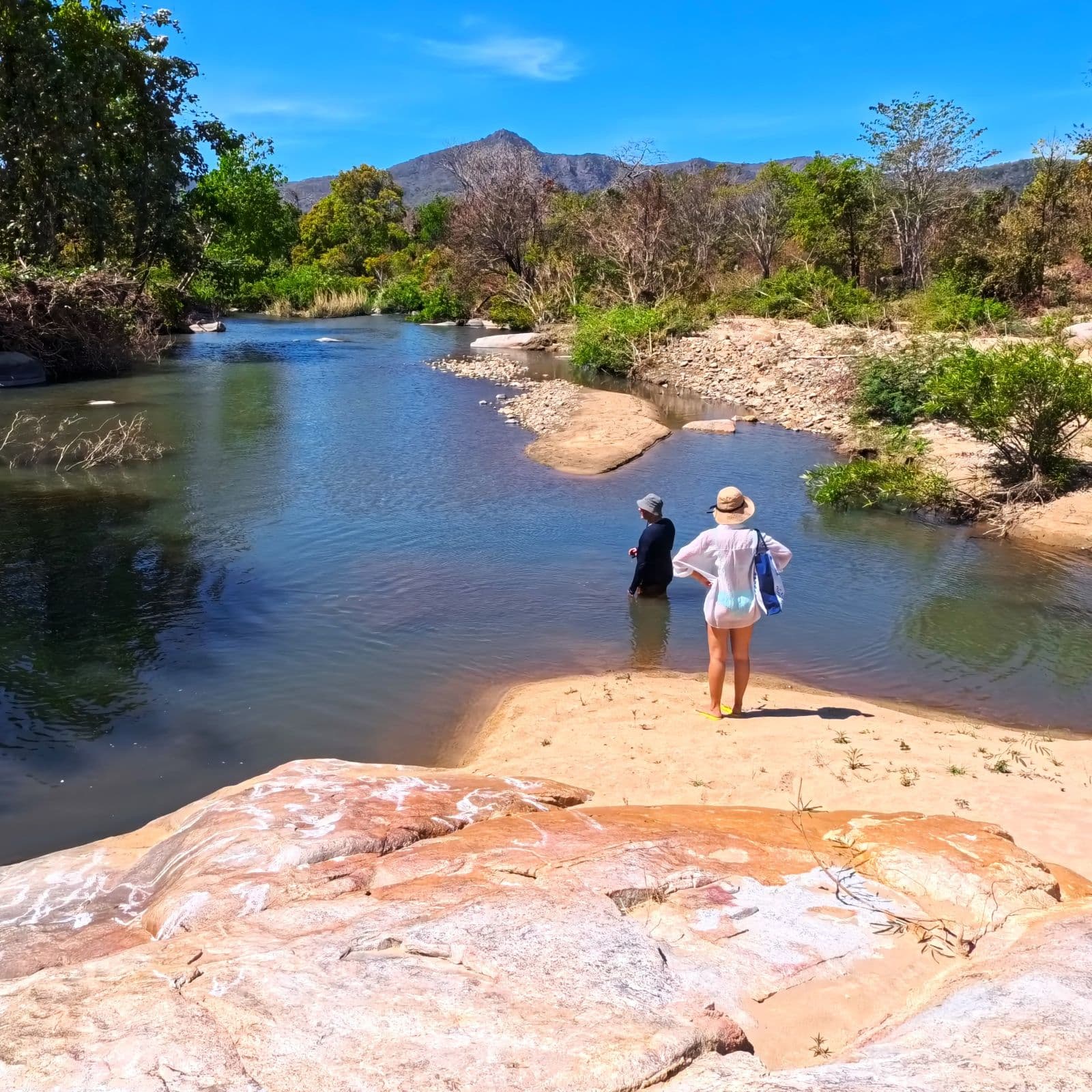 Behind the Scenes Special: February, 2026