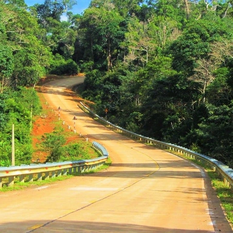The Road East of the Long Mountains (Đường Trường Sơn Đông), Vietnam