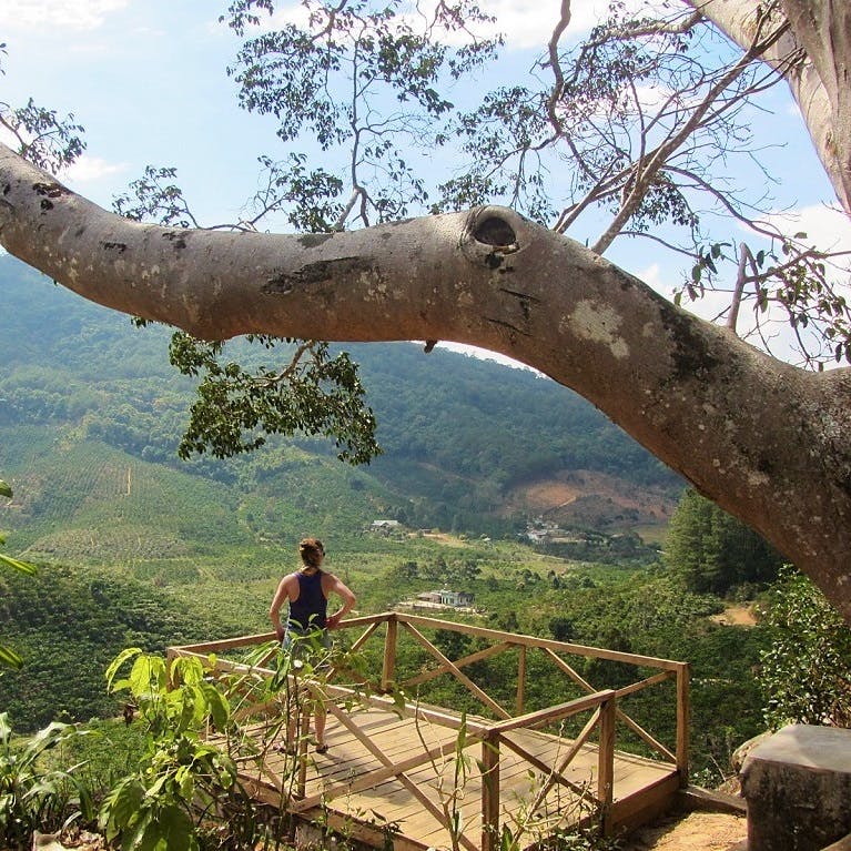 The Banyan Tree Cafe, Route 28, Central Highlands, Vietnam